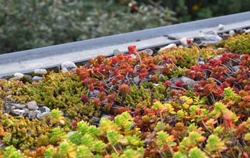 the cost of Halecommon green roof installation