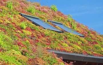 Halecommon living roof systems