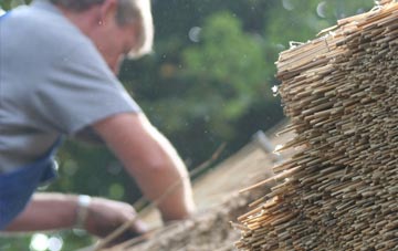 professional Halecommon thatchers