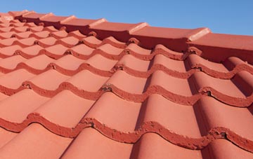 Halecommon tile and slate roof replacement