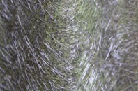 Halecommon fibreglass roof work