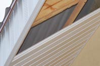 rated Halecommon soffit repair companies